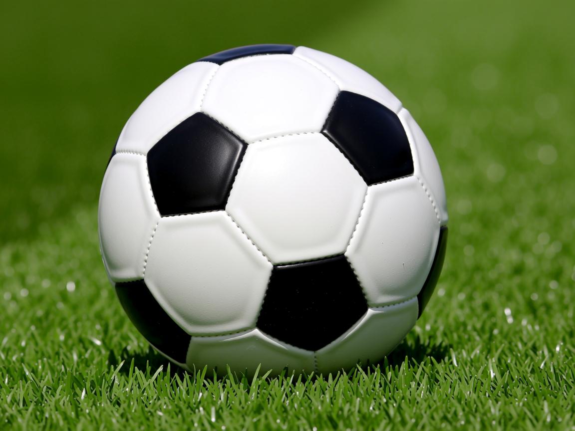 爱游戏app活动-2024年瑞典队在国际乒乓赛场的精彩表现与成长，瑞典乒乓球联赛