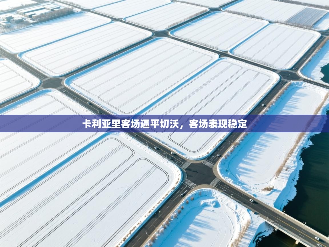 卡利亚里客场逼平切沃，客场表现稳定  第2张